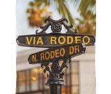 Load image into Gallery viewer, Duvet - Rodeo Drive
