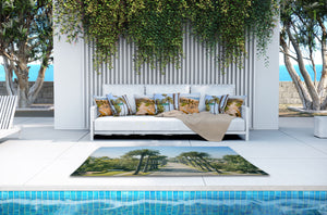 Area Rug Outdoor - Beverly Palms