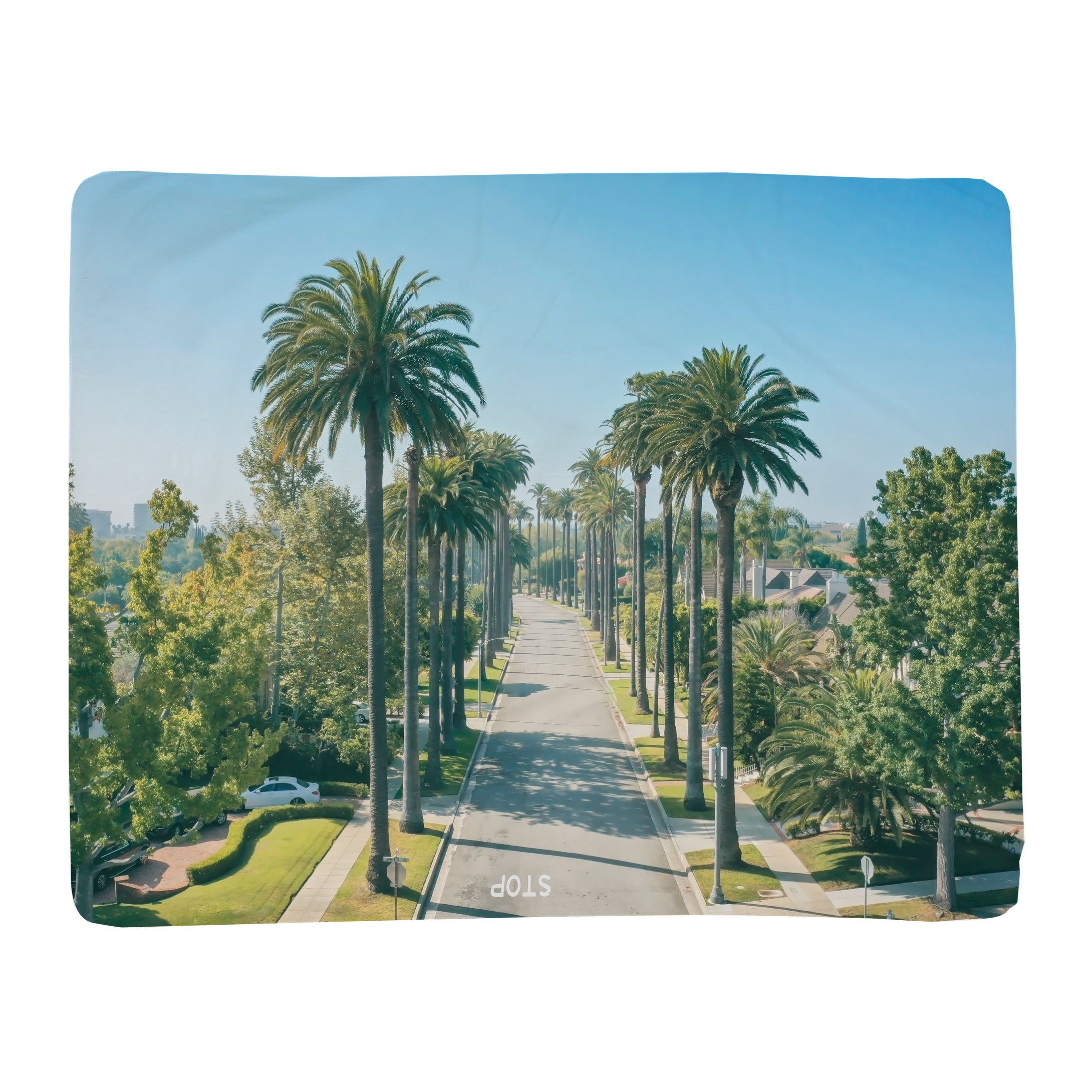 Horizontal Throw Blanket - Beverly Palms