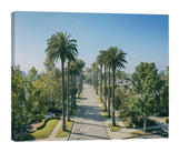 Load image into Gallery viewer, Canvas Print - Beverly Palms
