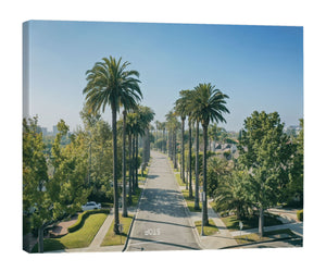 Canvas Print - Beverly Palms