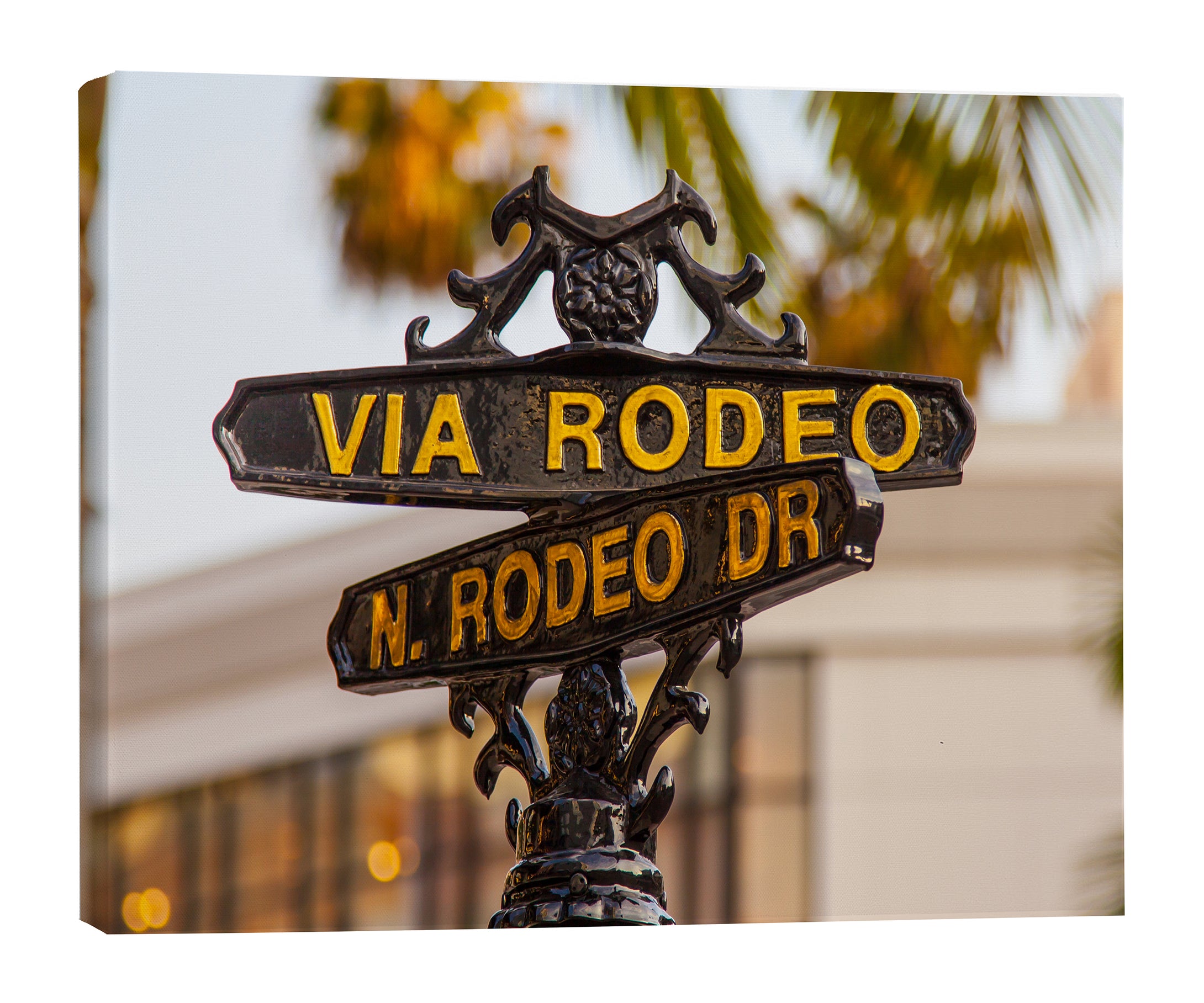 Canvas Print - Rodeo Drive