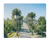 Load image into Gallery viewer, Metal Print - Beverly Palms
