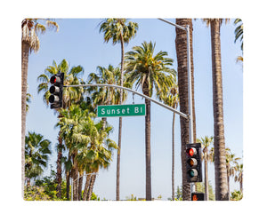 Metal Print - Sunset Boulevard