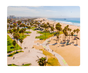 Metal Print - Venice Beach