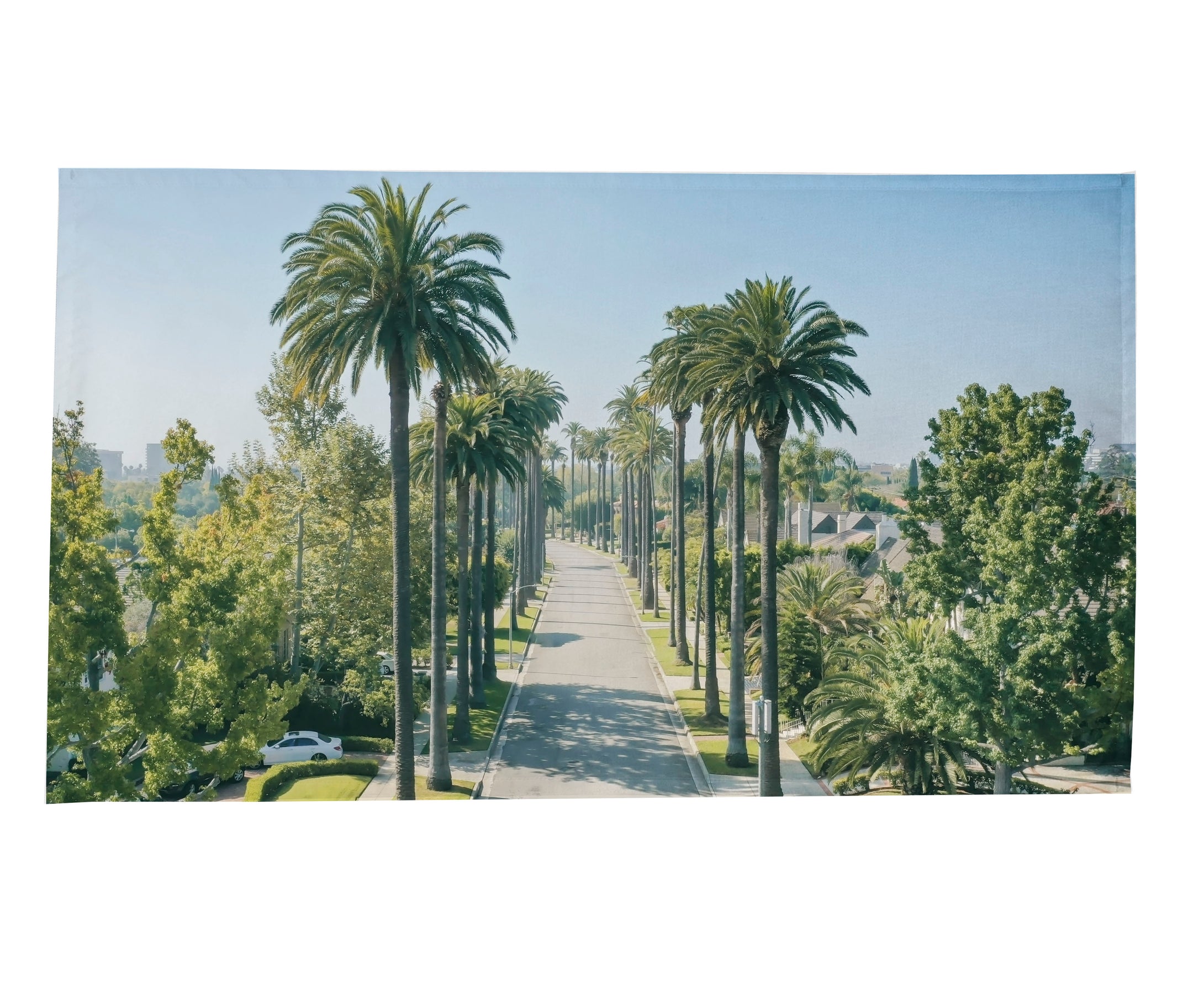 Tablecloth - Beverly Palms