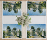 Load image into Gallery viewer, Table Placemat - Beverly Palms
