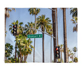 Load image into Gallery viewer, Table Placemat - Sunset Boulevard
