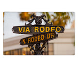 Load image into Gallery viewer, Area Rug Outdoor - Rodeo Drive
